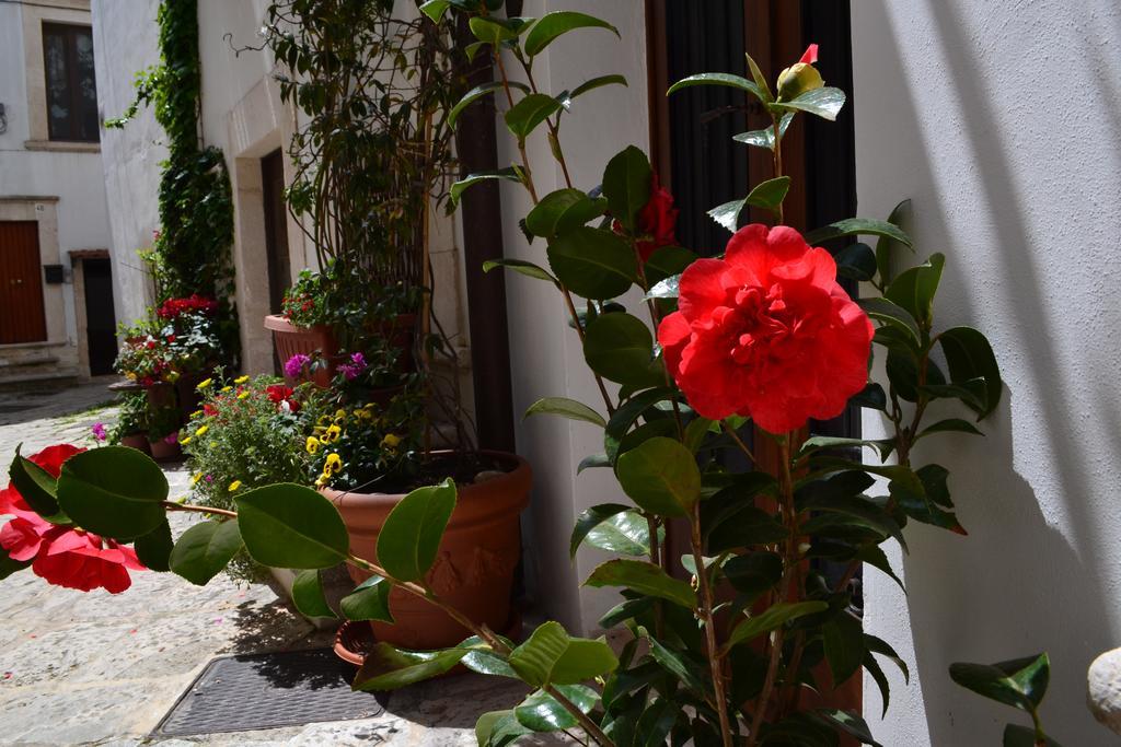 Santo Stefano Bed & Breakfast Putignano Dış mekan fotoğraf